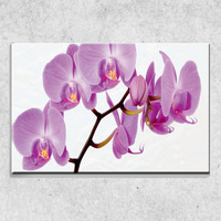 Foto auf Leinwand Lila Orchidee 90x60 cm