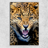 Foto auf Leinwand Gepardengebrüll 90x60 cm