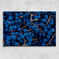 Foto auf Leinwand Weintrauben 90x60 cm