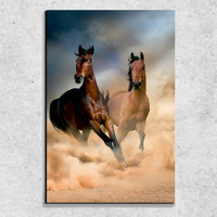 Foto auf Leinwand Pferde 90x60 cm