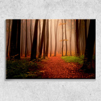 Foto auf Leinwand Wald Herbst 90x60 cm