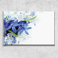 Foto  auf Leinwand Blaue und weiße Blüten 90x60 cm