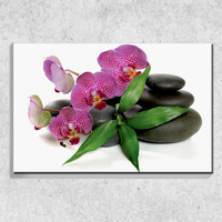 Foto auf Leinwand Orchideen auf Steinen 90x60 cm