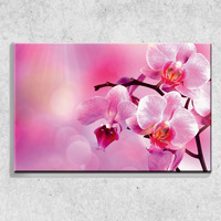 Foto auf Leinwand Orchideen 90x60 cm