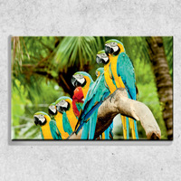 Foto auf Leinwand Papageien 90x60 cm