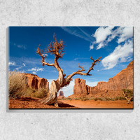 Foto auf Leinwand Wüste 90x60 cm