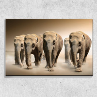 Foto auf Leinwand Elefantenherde 90x60 cm