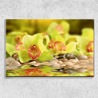Foto auf Leinwand Grüne Orchidee 90x60 cm