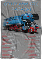 Decke Baureihe 477.0 (Papagei)